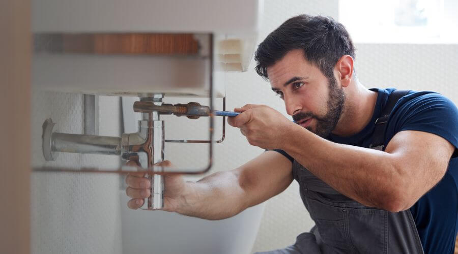 Trap Repair/Replacement in Bellwood, NE